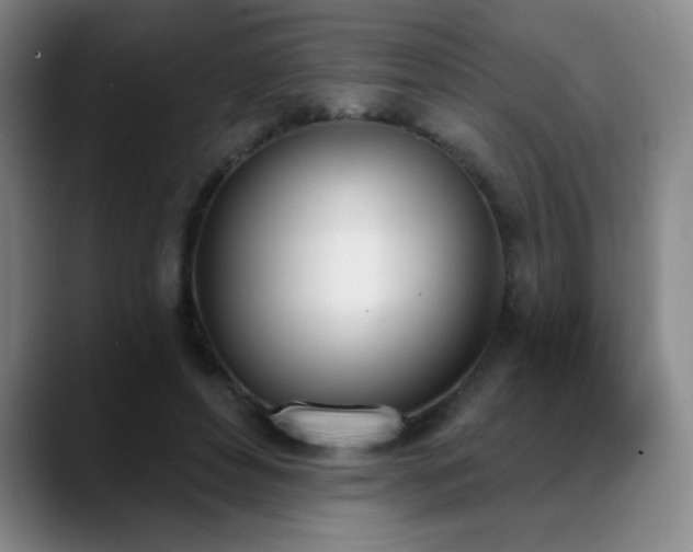 X0000089390496200706151225