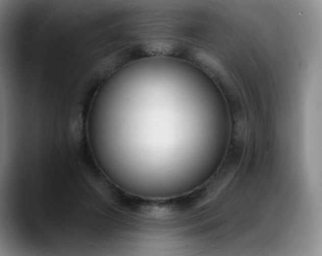 X0000089390498200706151225