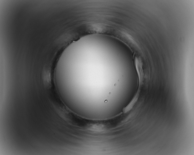 X0000089390500200706151225
