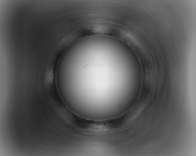 X0000089390502200706151225