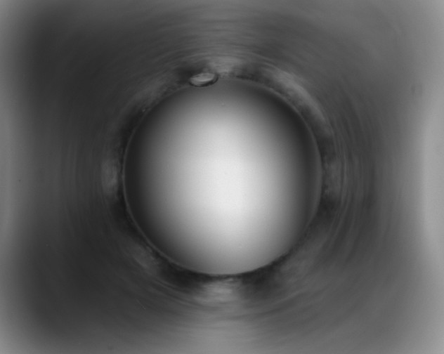 X0000089390505200706151224