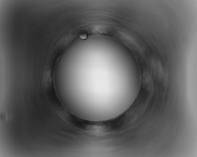 X0000089390506200706151224