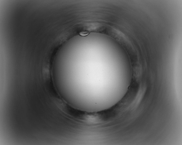 X0000089390510200706151224