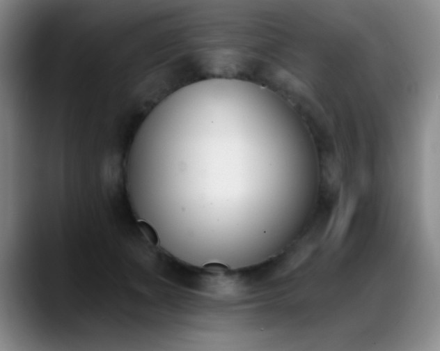 X0000089390511200706151224