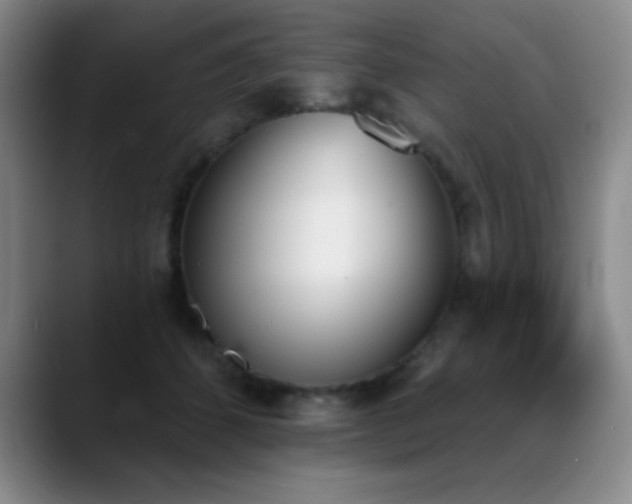 X0000089390512200706151224
