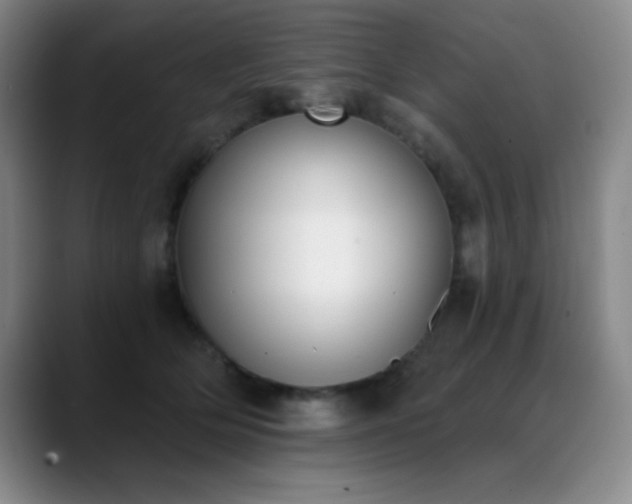 X0000089390514200706151224