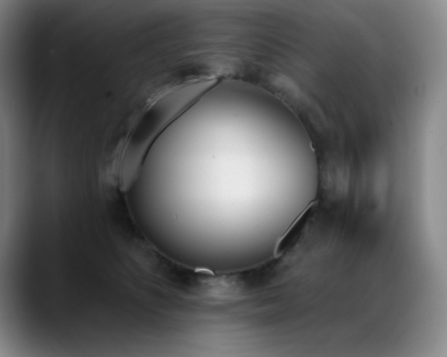 X0000089390516200706151224
