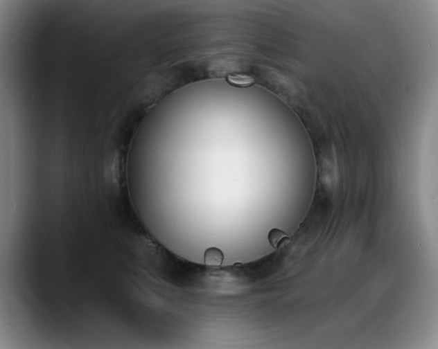 X0000089390519200706151224