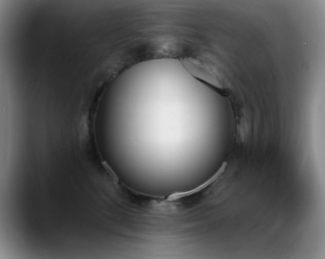 X0000089390520200706151224