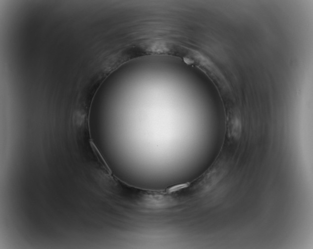 X0000089390521200706151224