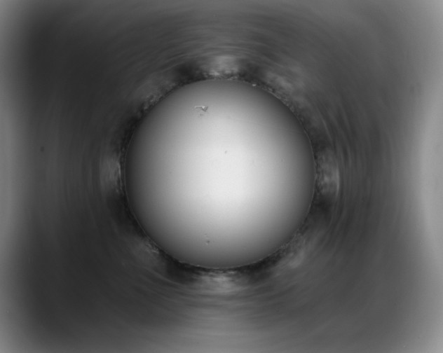 X0000089390523200706151224