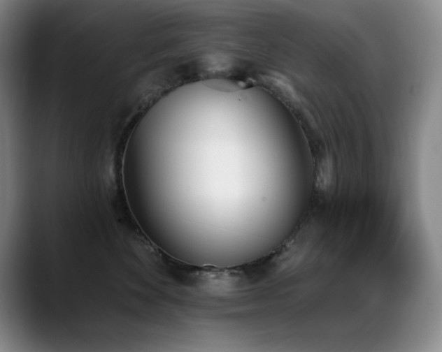 X0000089390524200706151224