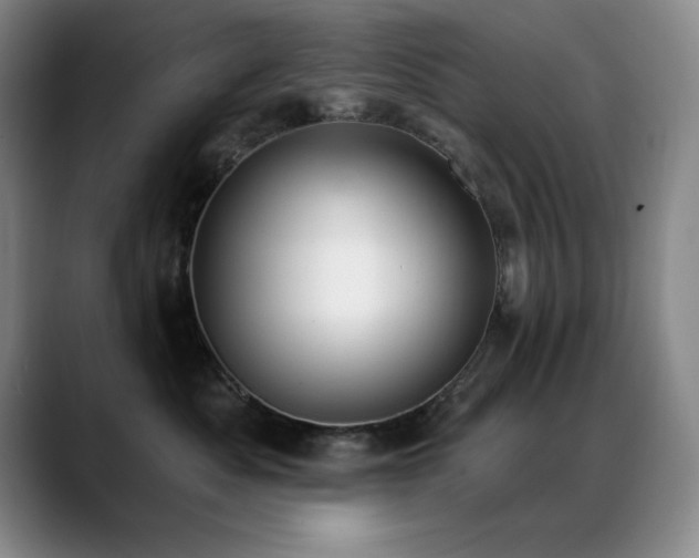 X0000089390525200706151224