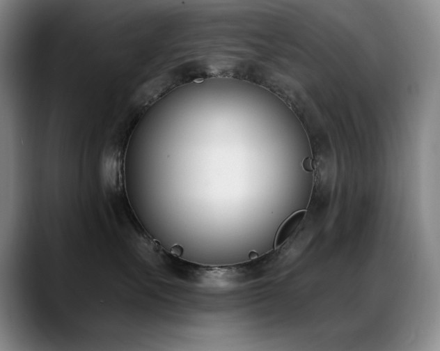 X0000089390527200706151224