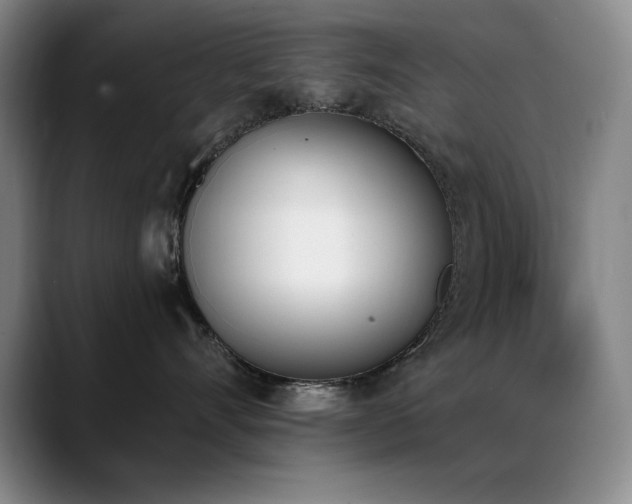 X0000089390528200706151224