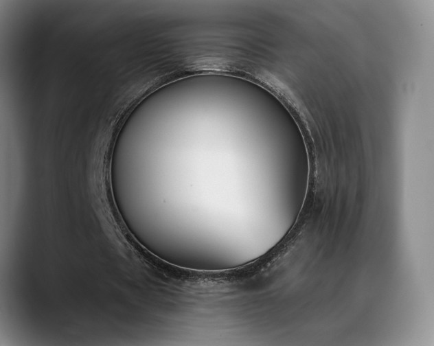 X0000089390529200706151224