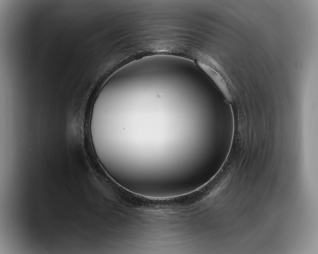 X0000089390530200706151224