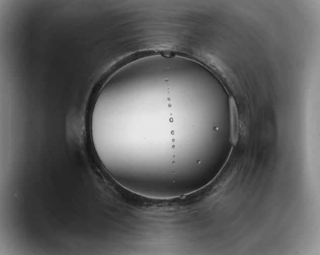 X0000089390532200706151224