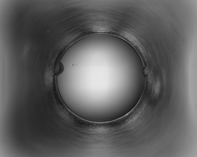 X0000089390533200706151224