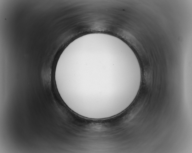 X0000089390534200706151224