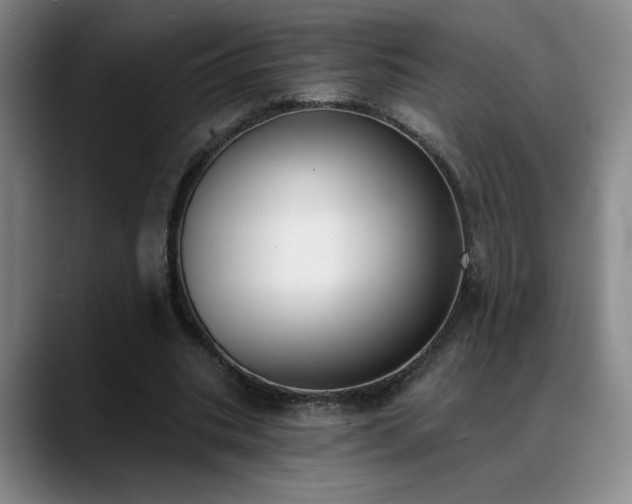 X0000089390535200706151224
