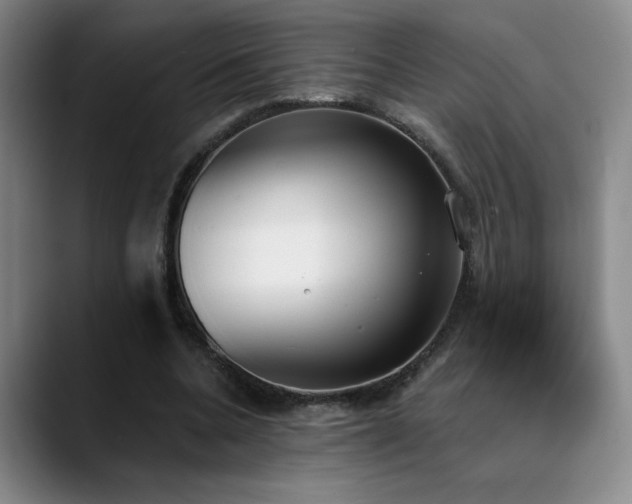 X0000089390536200706151224