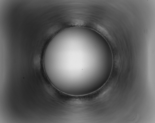 X0000089390538200706151224