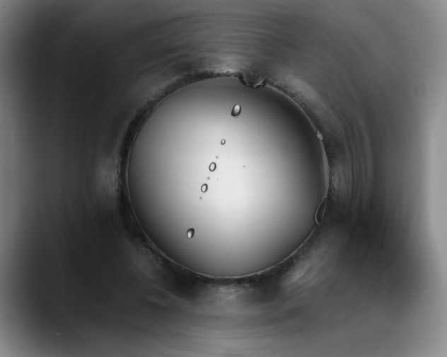 X0000089390540200706151224