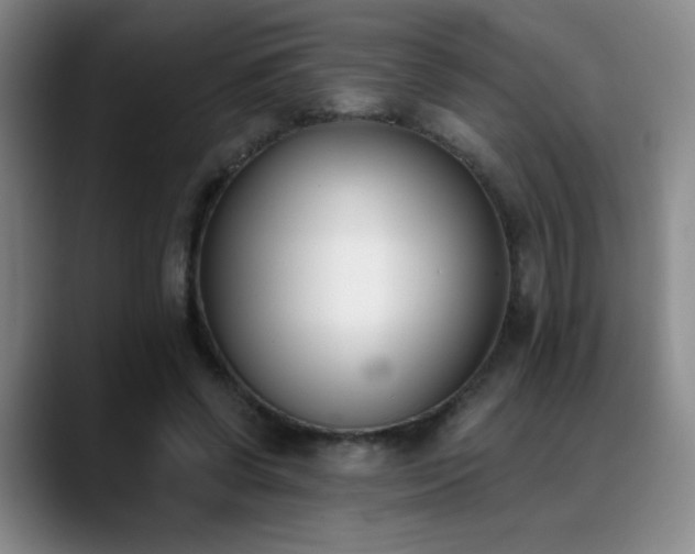 X0000089390542200706151224