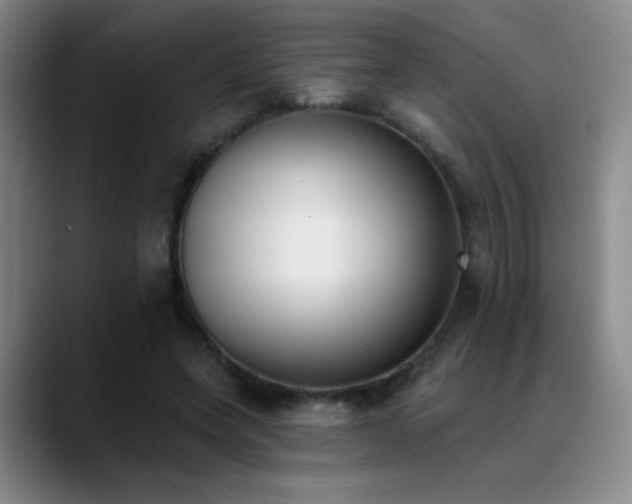 X0000089390543200706151224