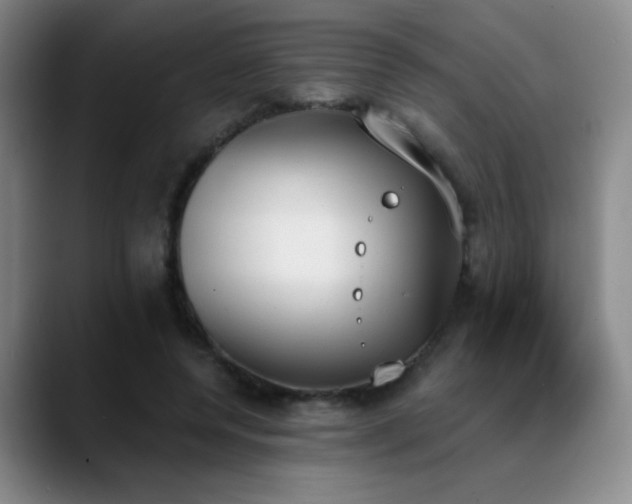 X0000089390544200706151224