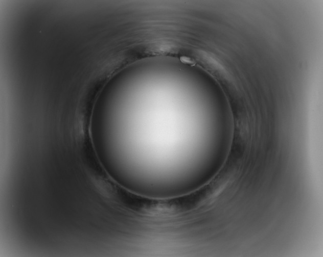 X0000089390546200706151224