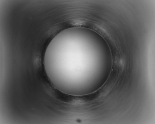 X0000089390547200706151224