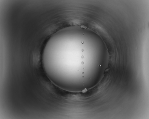 X0000089390548200706151224