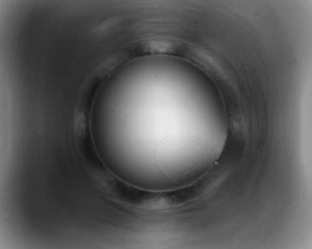 X0000089390551200706151224