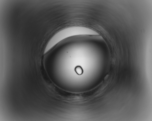 X0000089390552200706151224