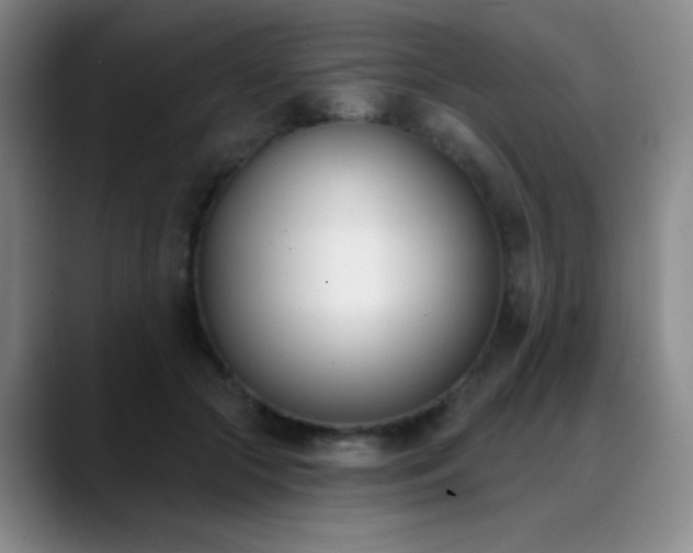 X0000089390553200706151224