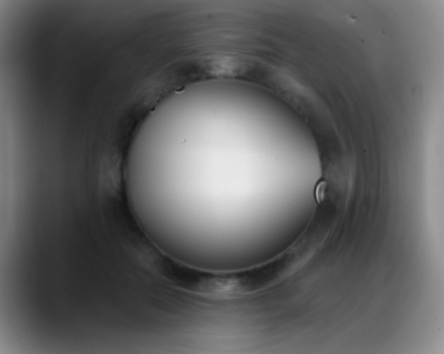 X0000089390554200706151224