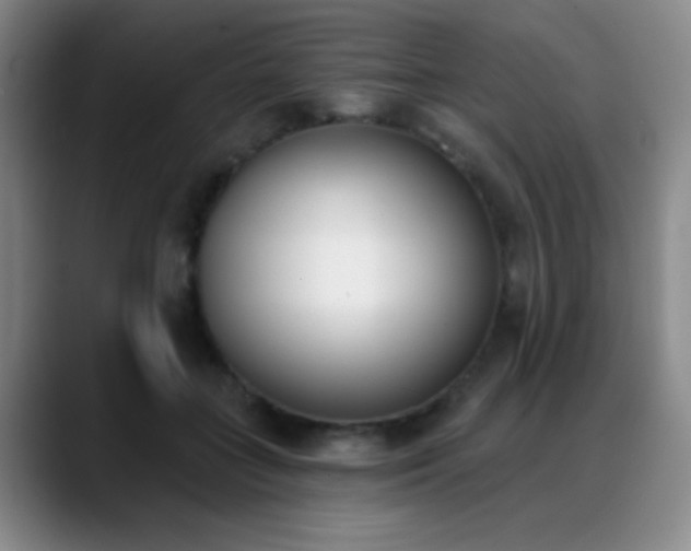 X0000089390555200706151224