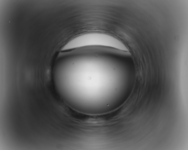 X0000089390556200706151224