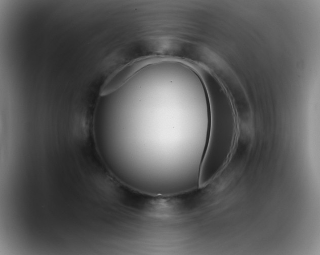 X0000089390558200706151224