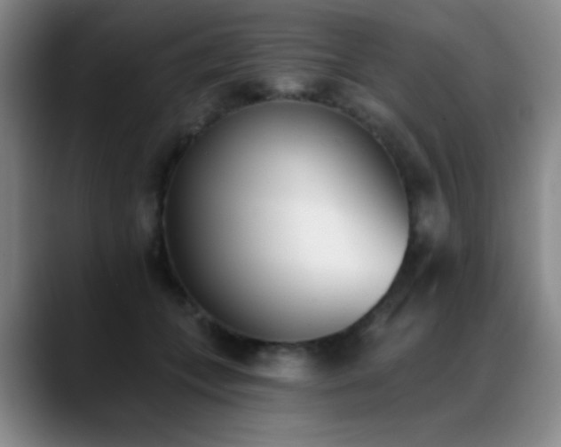 X0000089390559200706151224