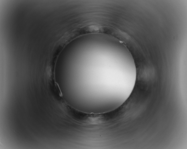 X0000089390560200706151224