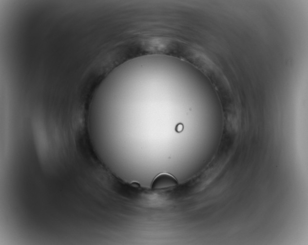 X0000089390561200706151224