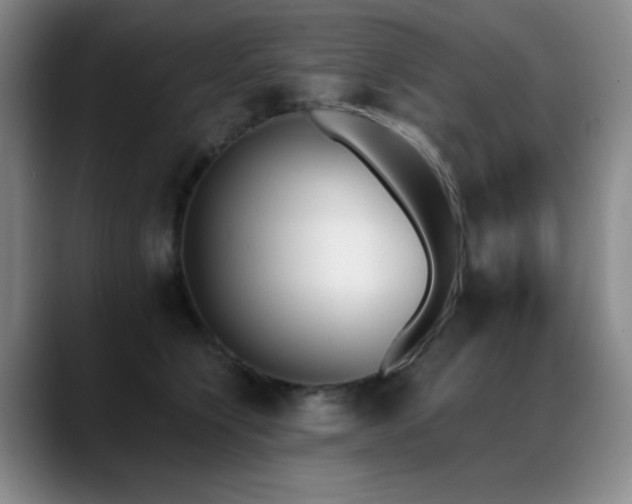 X0000089390564200706151224