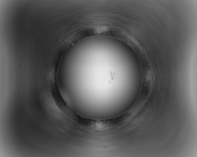 X0000089390565200706151224