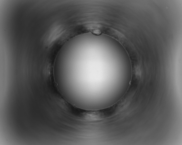 X0000089390567200706151224