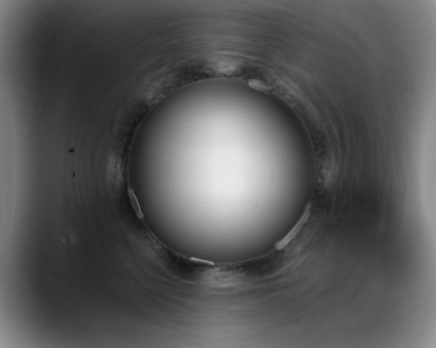 X0000089390568200706151224