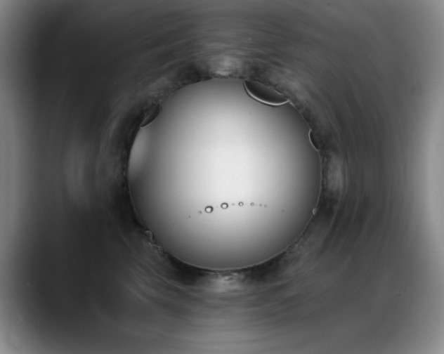 X0000089390569200706151224