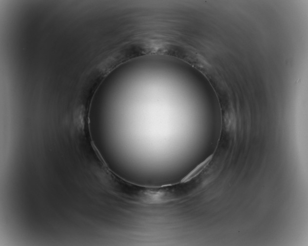 X0000089390570200706151224